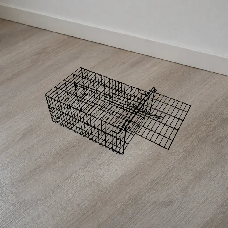 Perangkap yang tangguh